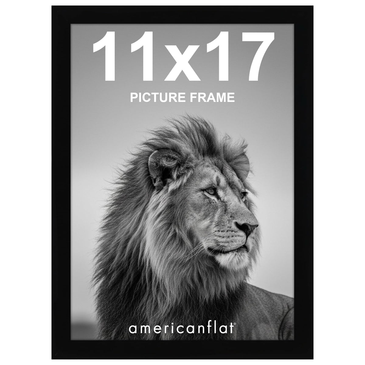 Americanflat front view of 11x17 black frame showing clean display and contrast