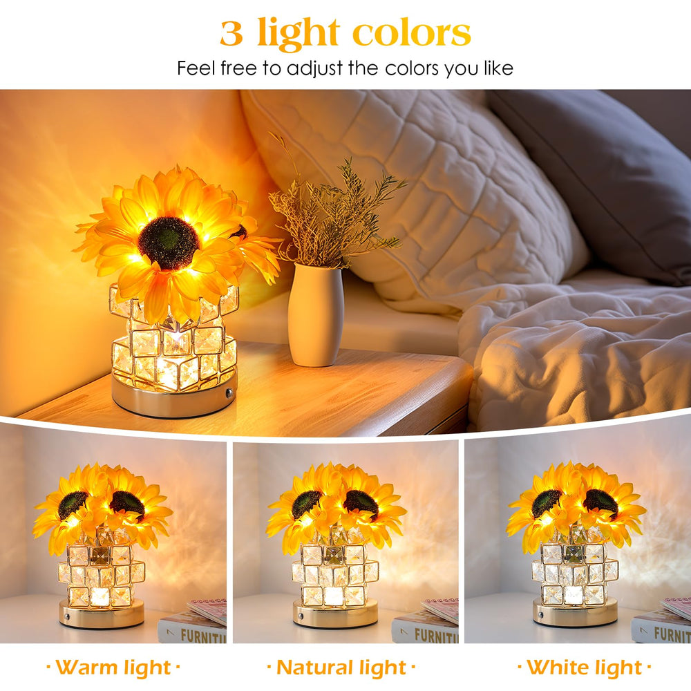 AMWGIMI crystal-style pot detail showing reflective base and elegance