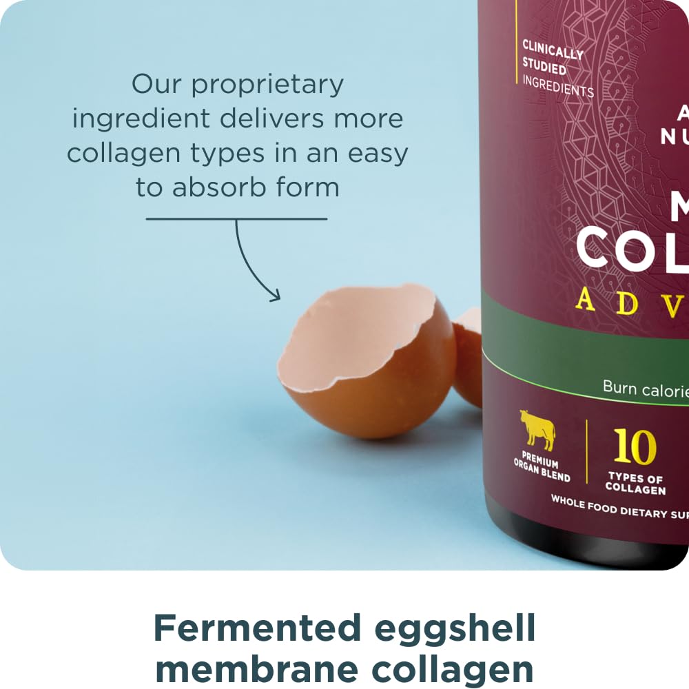 Ancient Nutrition probiotic capsules beside powder indicating gut-support benefit