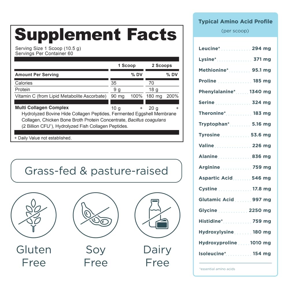 Ancient Nutrition open tub close-up of fine vanilla collagen powder texture for easy mixing