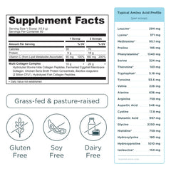 Ancient Nutrition open tub close-up of fine vanilla collagen powder texture for easy mixing