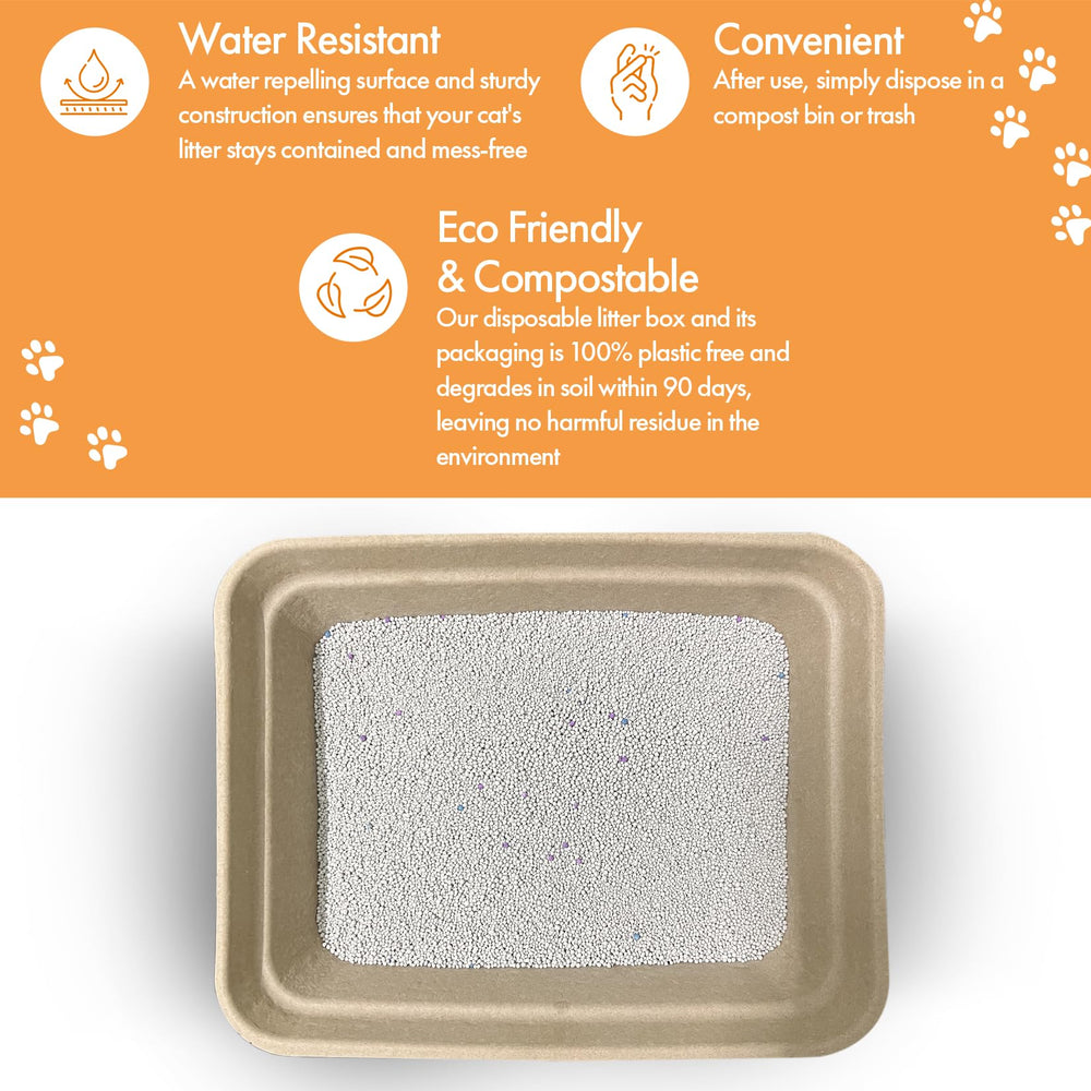 Animaru litter box next to ruler showing 17x13x4 inch dimensions for proper fit benefit