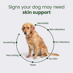 Aniwell close-up of chew texture highlighting soft chewability and palatability benefit