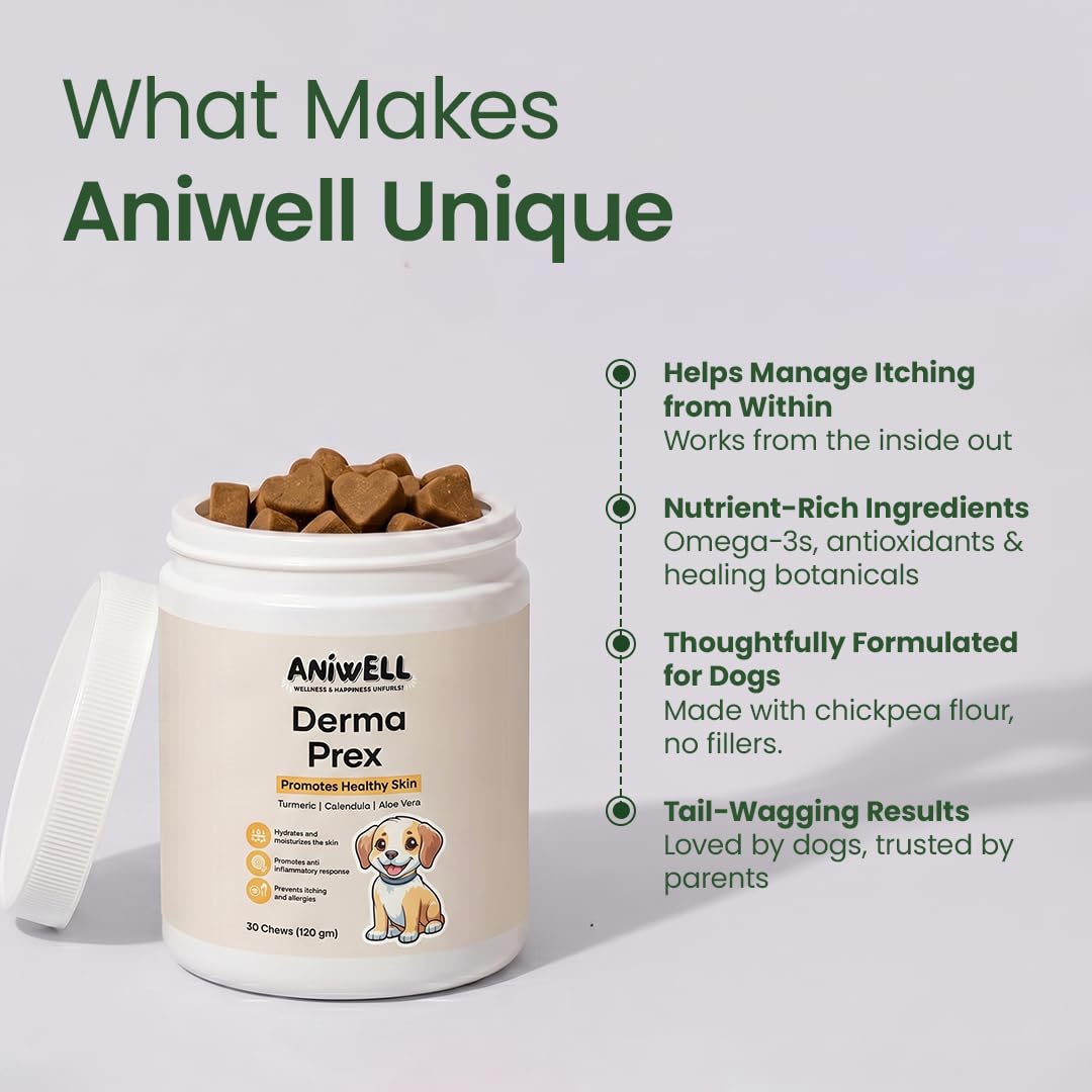 Aniwell dog accepting a chew in a home setting demonstrating easy administration