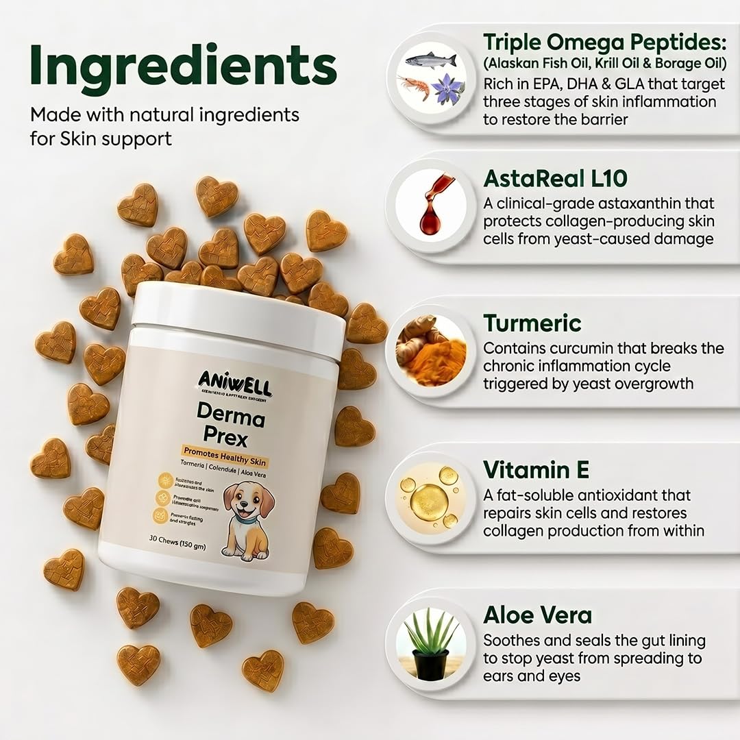 Aniwell open jar with salmon-flavored chews visible, convenient daily dosing benefit