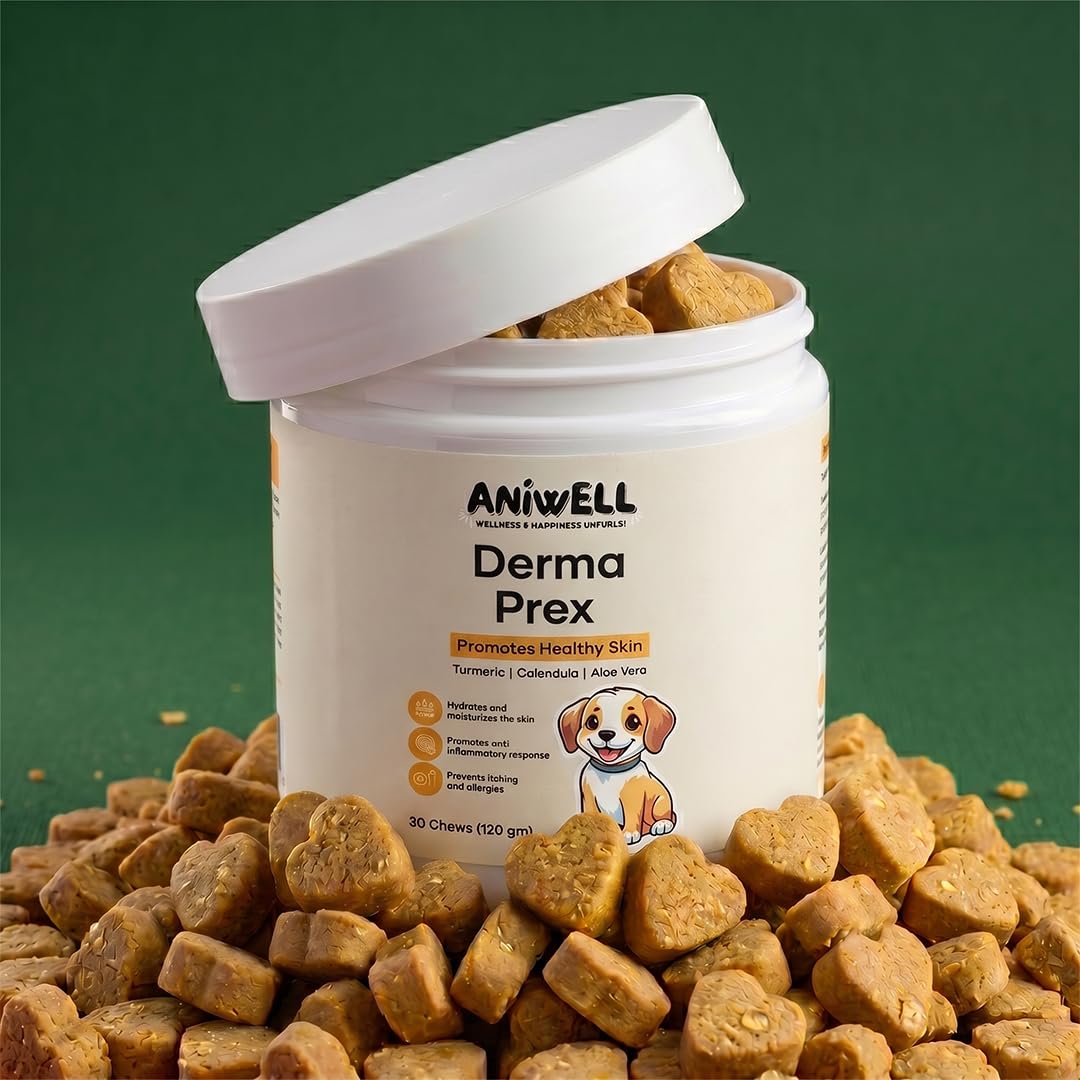 Aniwell outdoor dog with shinier coat illustrating improved coat appearance over time