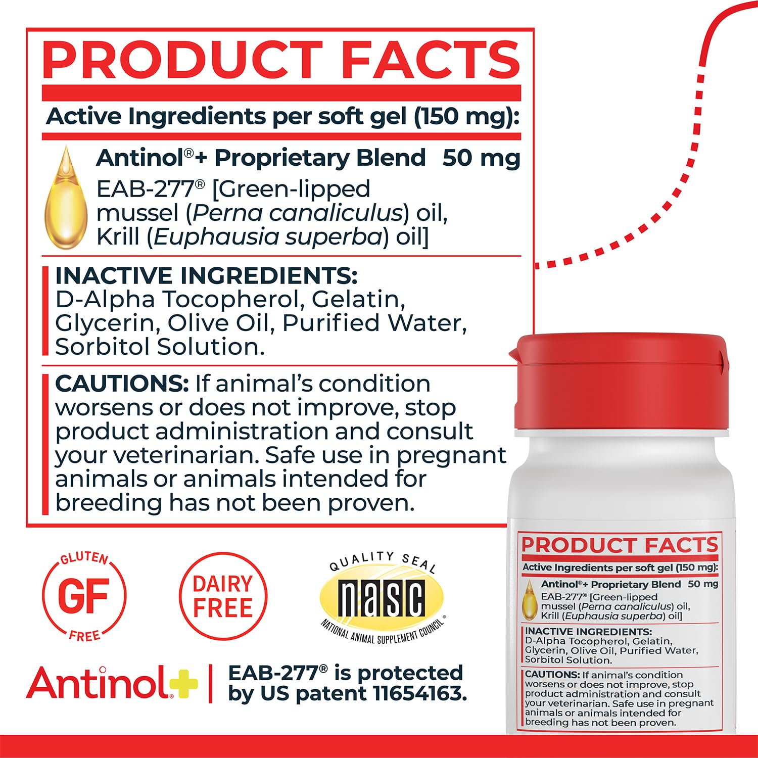 active dog running outdoors representing Antinol joint mobility support