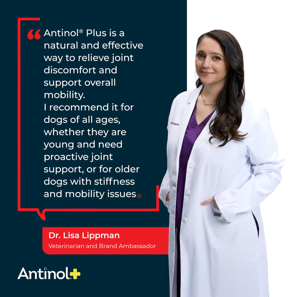 dog accepting Antinol soft gel from owner demonstrating simple administration