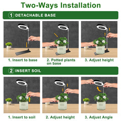 Aokrean stake inserted in soil demonstrating secure in-pot mounting benefit