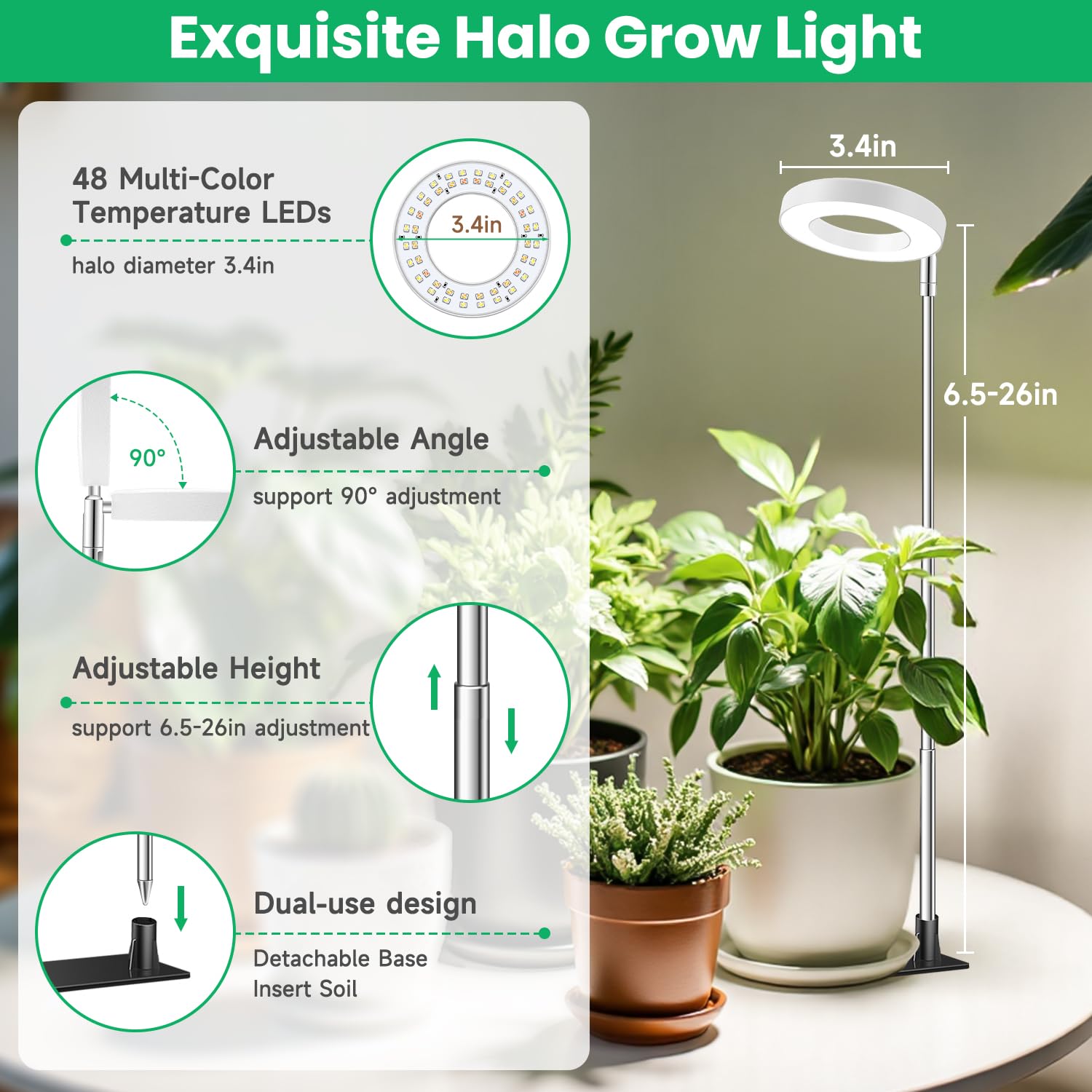 Aokrean lifestyle shelf display featuring decorative lighting and healthy plants