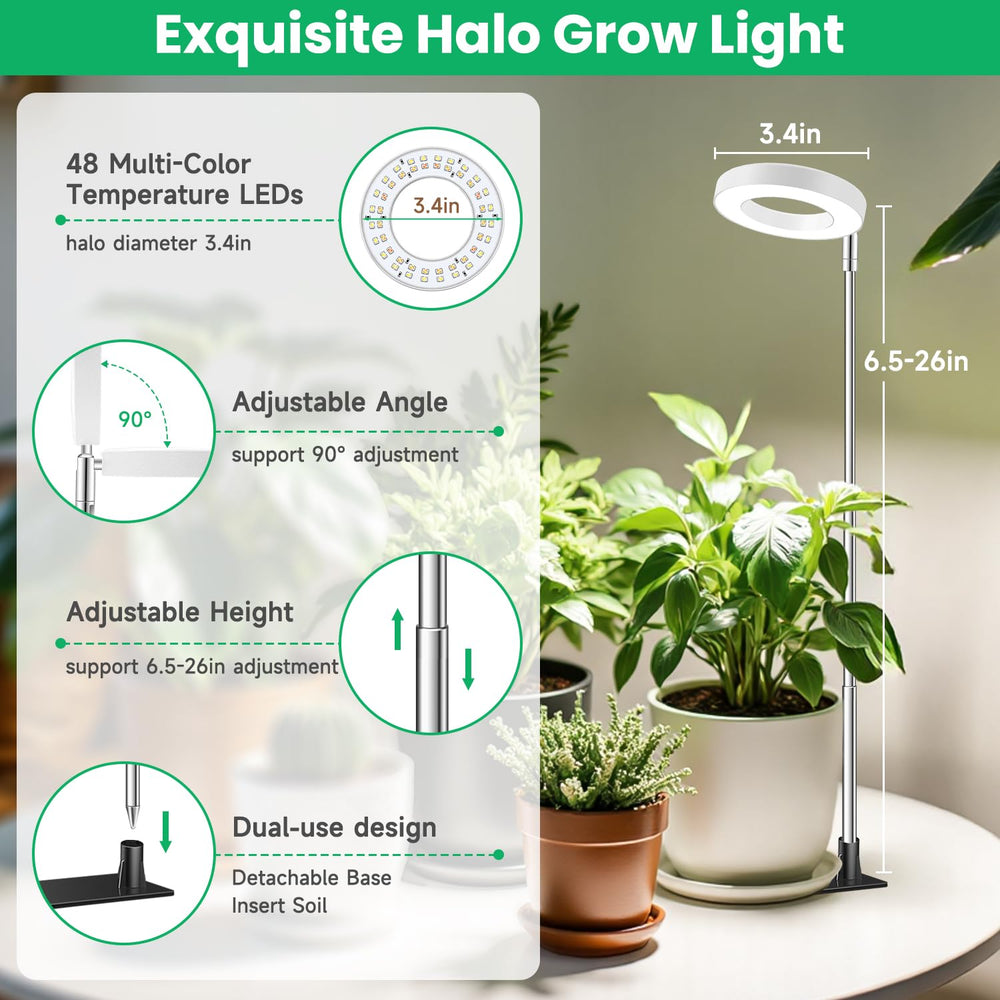 Aokrean lifestyle shelf display featuring decorative lighting and healthy plants
