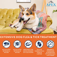 APEX ANIMAL HEALTH tube close-up with visible applicator for simple monthly use