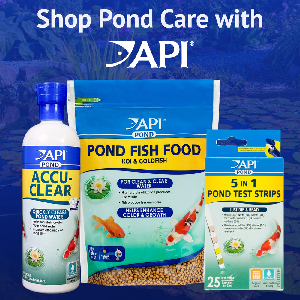 API POND ALGAEFIX one-gallon bottle next to a ruler for scale