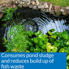 API Pond-Zyme measuring scoop demonstrating easy dosing for pond treatment
