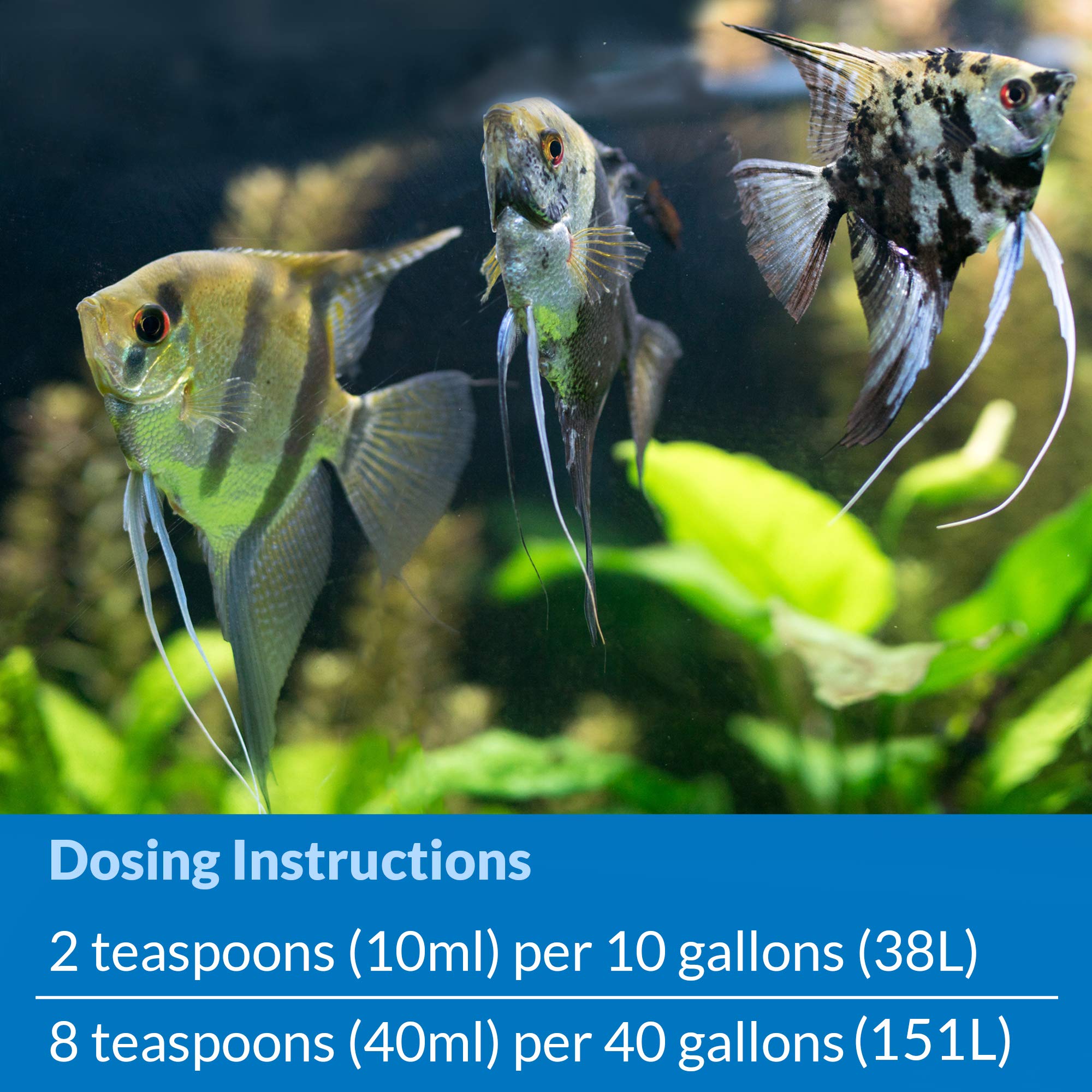 API Quick Start used in a planted aquarium showing healthy environment benefit