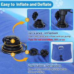 Apipi with a small dog using the float in a pool for cooling comfort