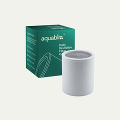 Aquabliss SFC100 inside open filter housing for fast swap benefit