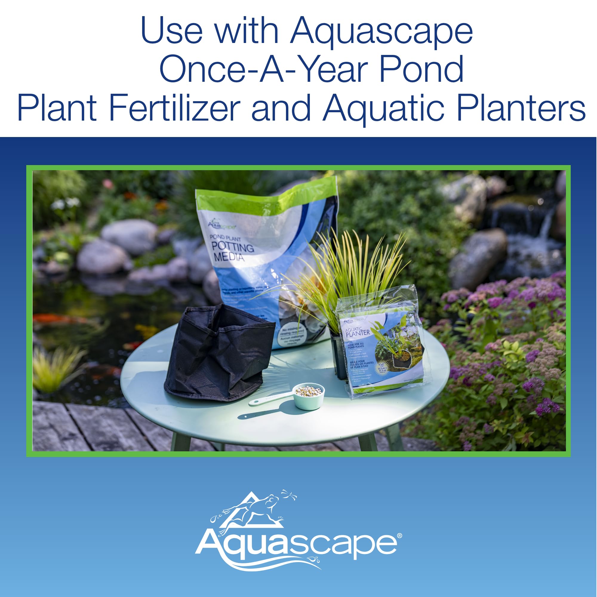 Aquascape used under a blooming water lily showing strong plant support and healthy growth