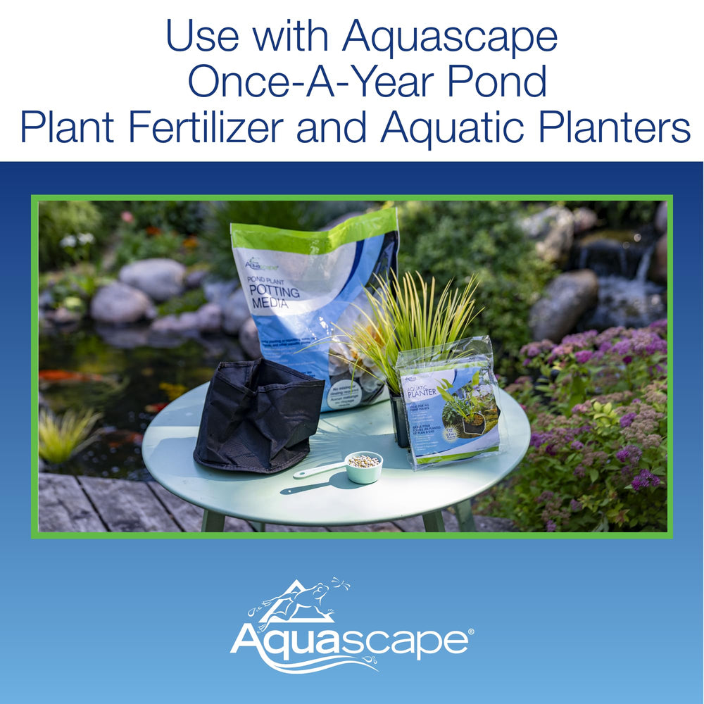 Aquascape used under a blooming water lily showing strong plant support and healthy growth