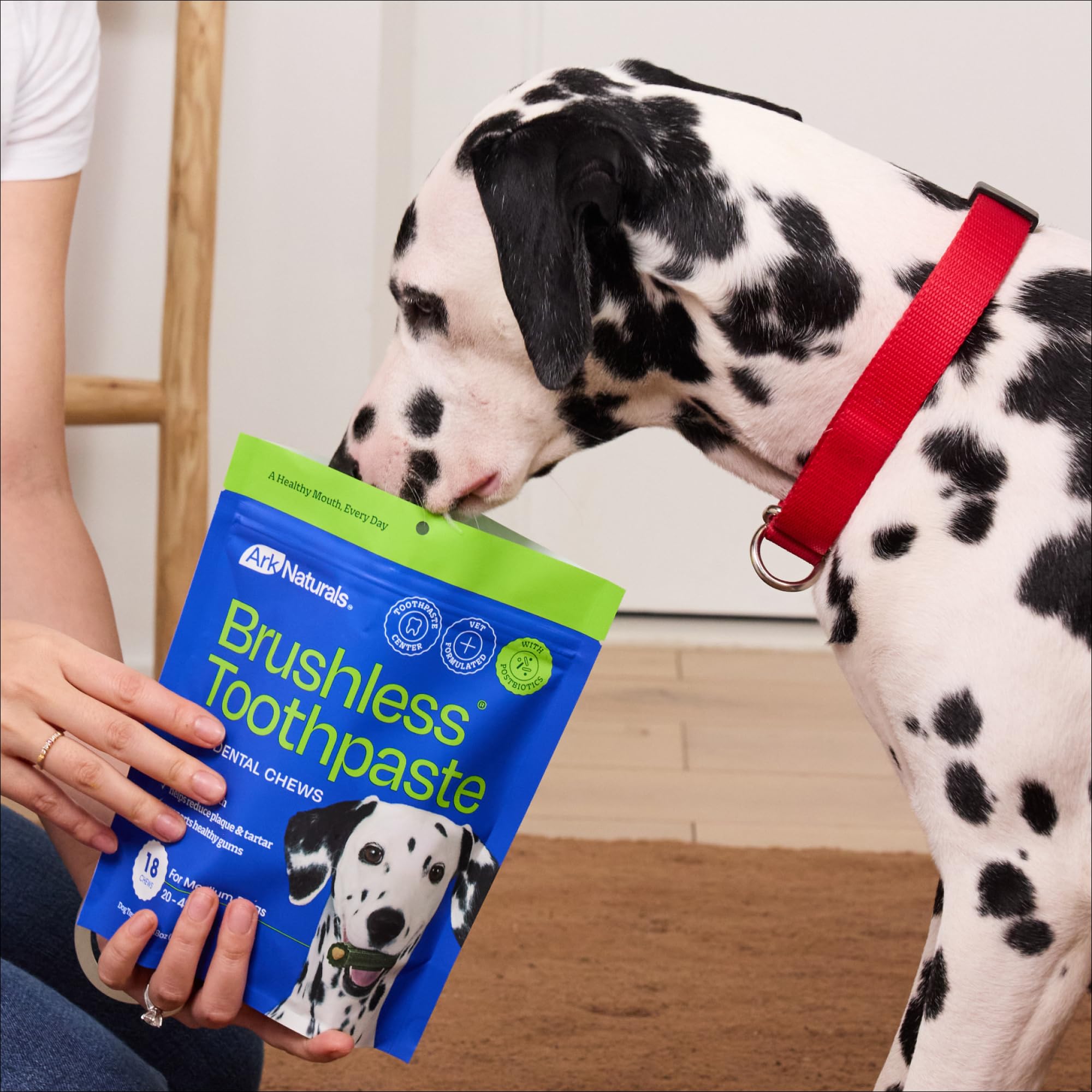 ARK NATURALS happy dog after chew showcasing fresher breath and clean smile