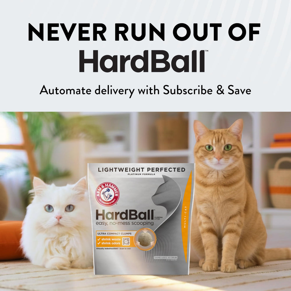 ARM & HAMMER litter in a tidy home setting showing fresher living spaces