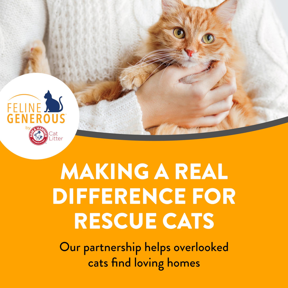 ARM & HAMMER litter beside a resting cat showing odor control advantage