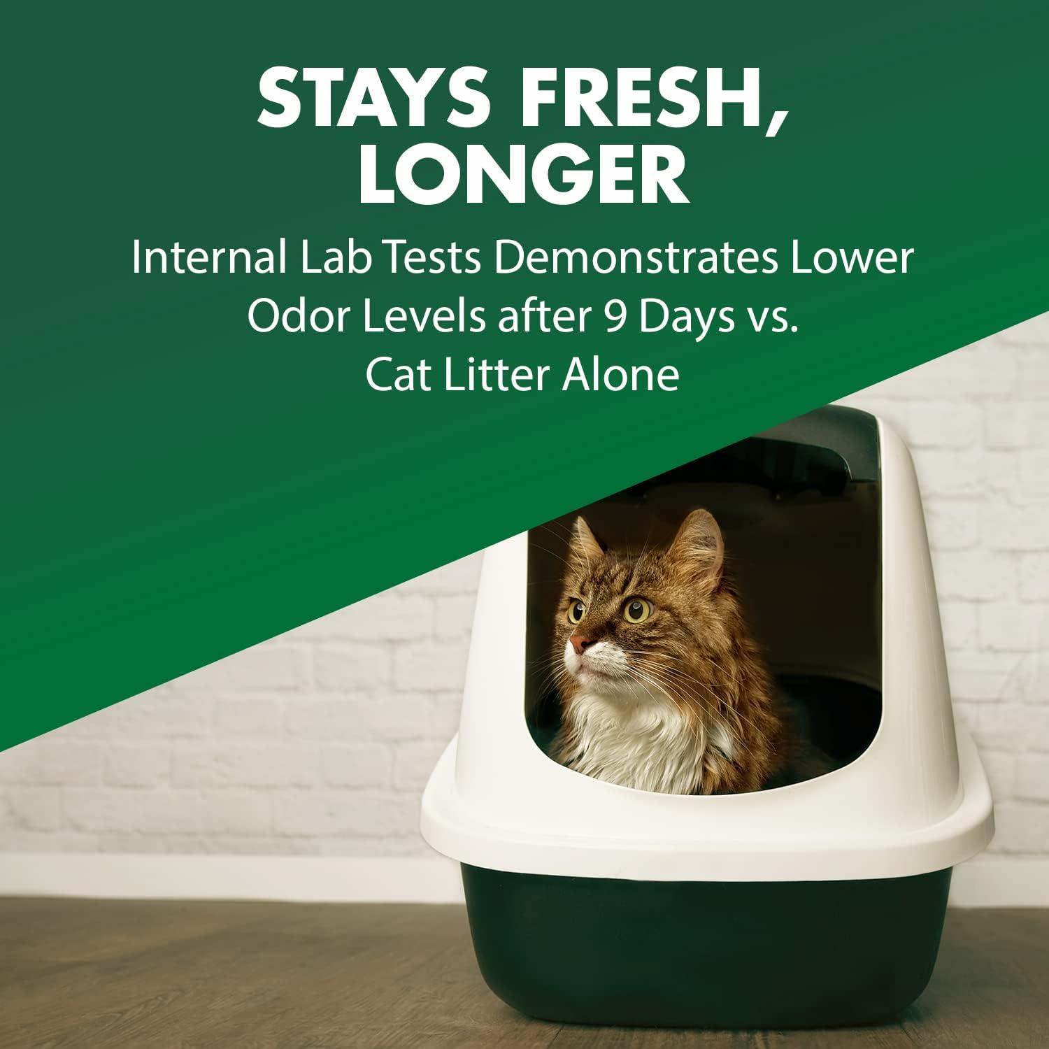sprinkling Arm & Hammer deodorizer into litter box demonstrating fresh scent benefit