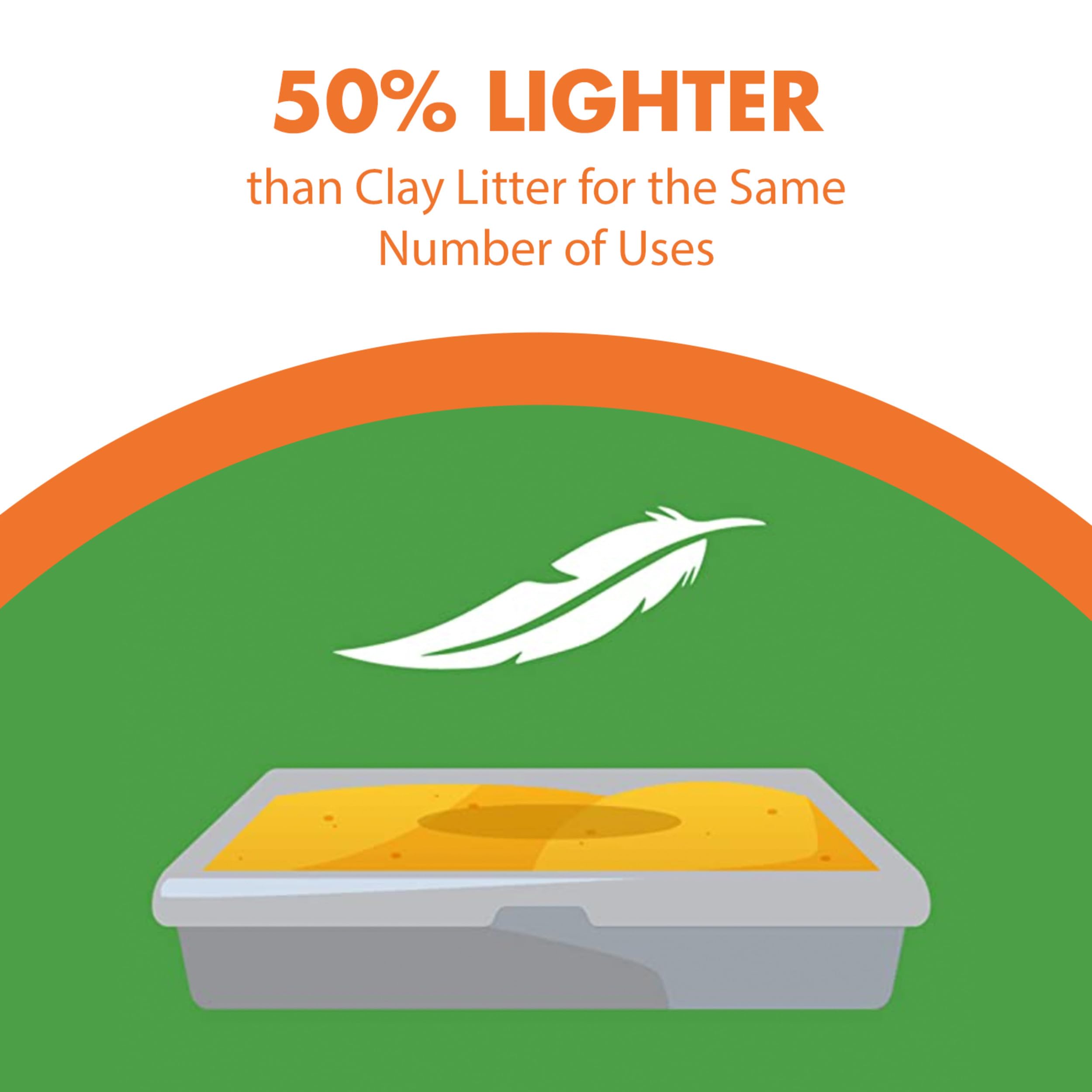 Arm & Hammer cat using litter showing acceptance and comfortable use