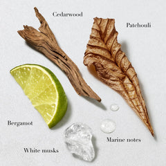 Armani Beauty Acqua di Giò lotion texture close-up illustrating lightweight, fast-absorbing benefit