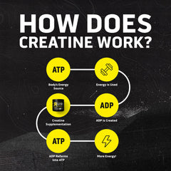 Unflavored Ascent creatine mixed in a clear glass for flavorless stacking
