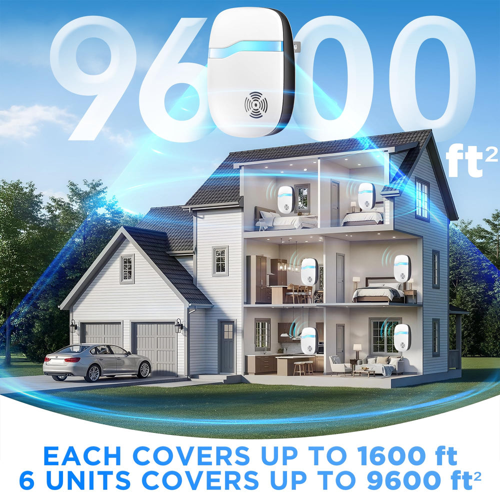 Asukin five-pack boxed arrangement displaying complete multi-room coverage