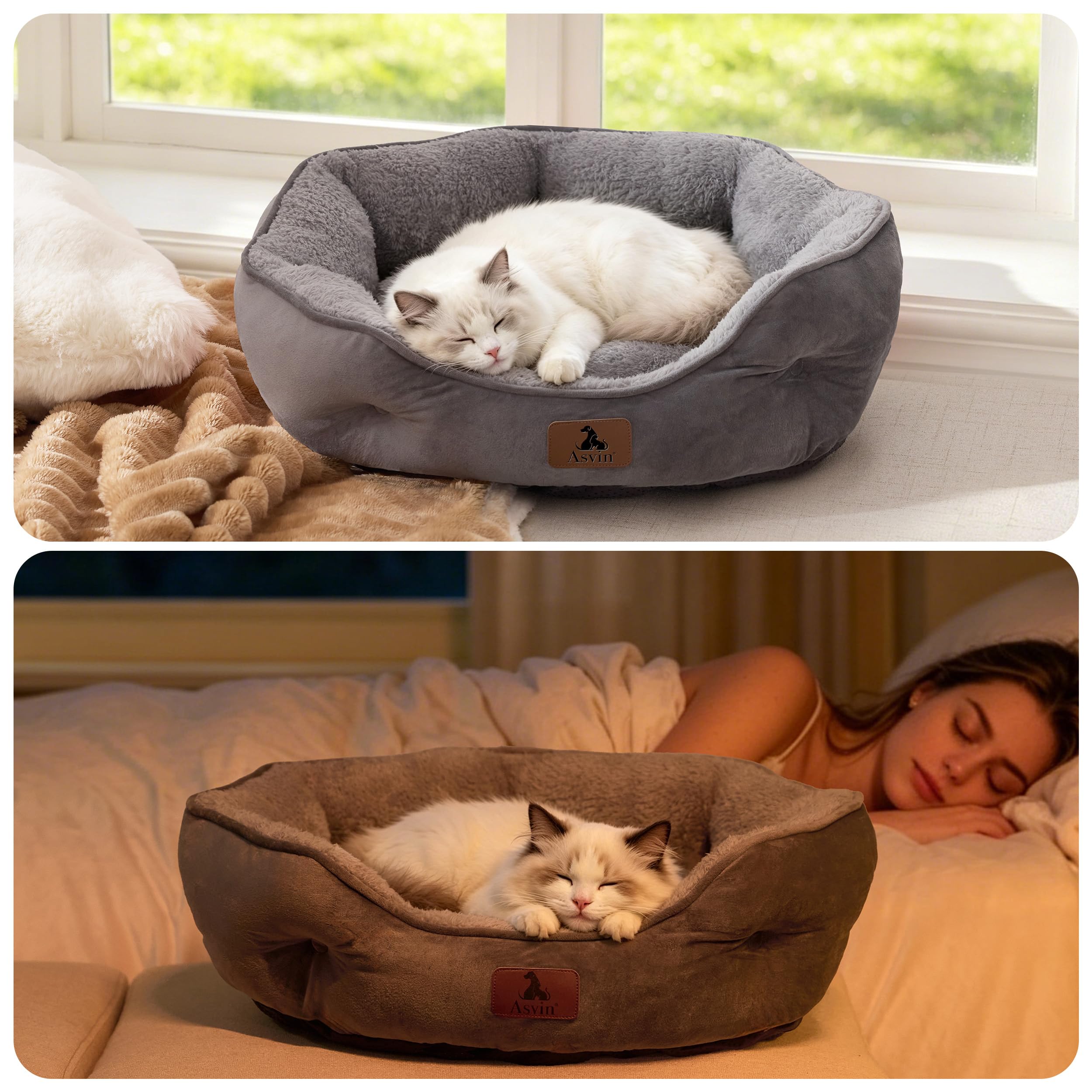 Asvin bed in bedroom setting enhancing home decor and pet comfort