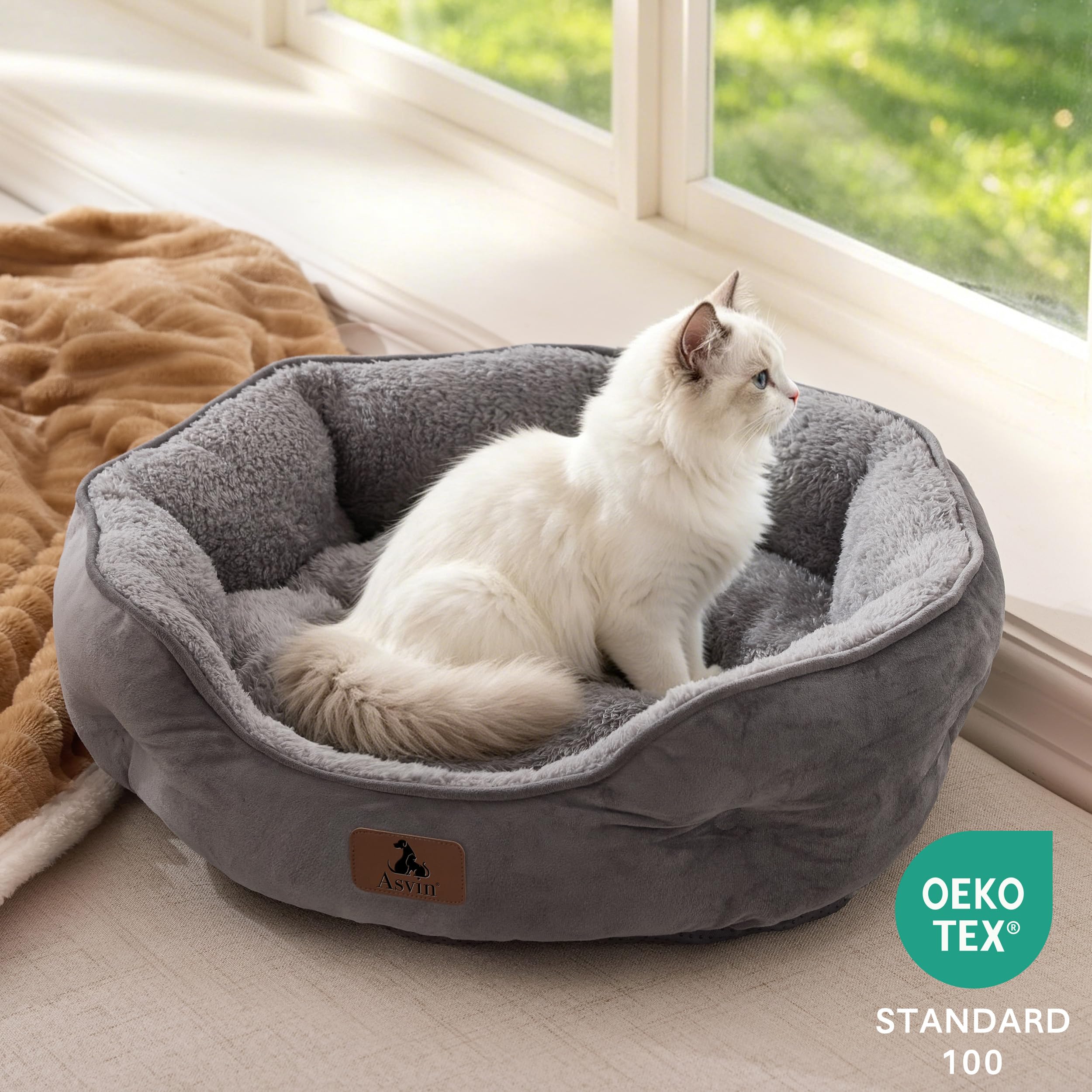 Asvin small cat curled in bed demonstrating secure restful sleep