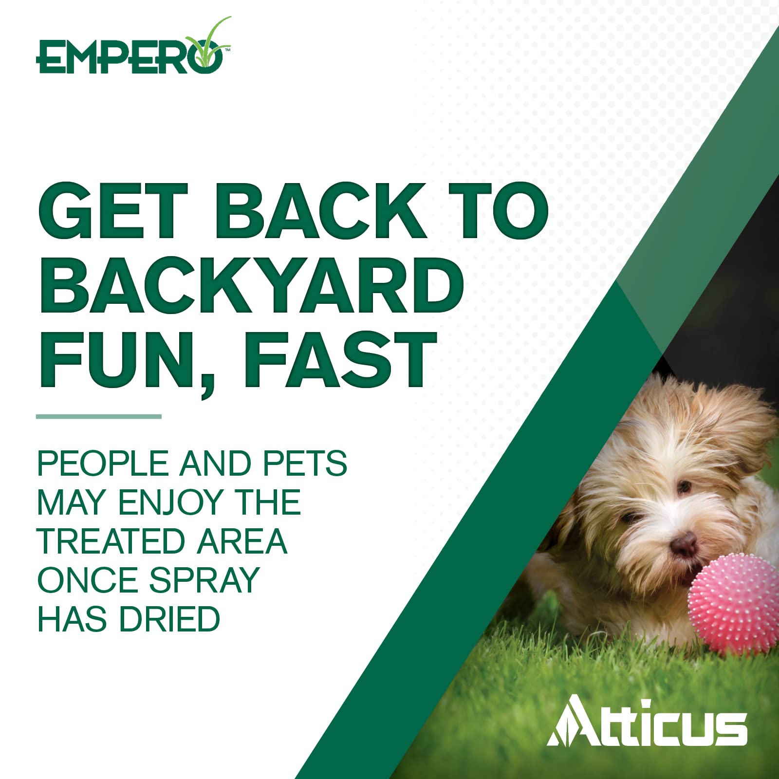 Atticus Empero before and after lawn comparison showing reduced nutsedge and improved turf