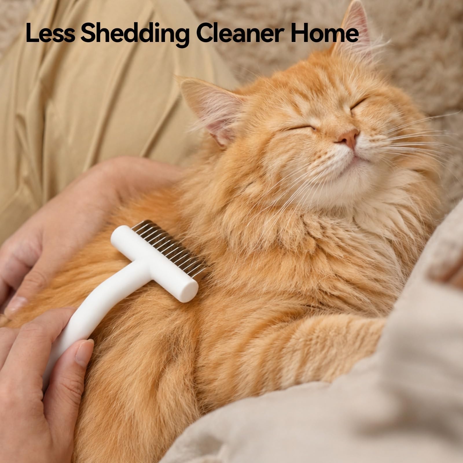 aumuca grooming a longhair cat to remove undercoat and reduce tumblefurs