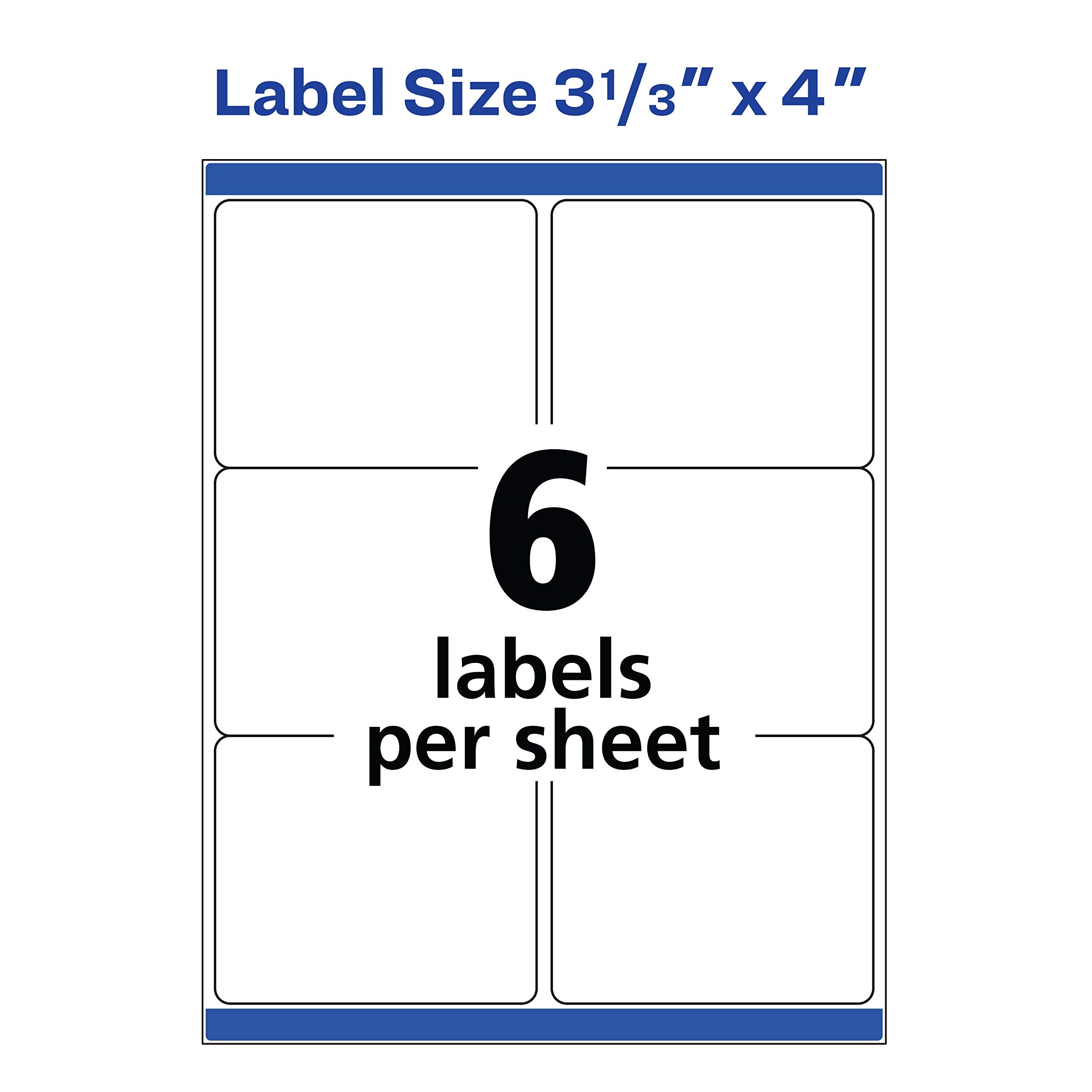 Avery printed label detail with bold text and sharp color clarity