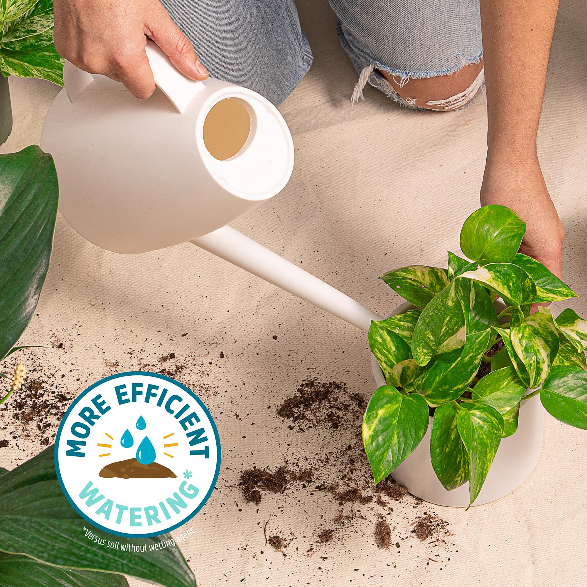 Back to the Roots label details highlighting organic, peat-free and yucca benefits