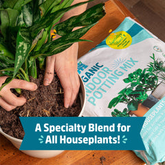 Back to the Roots potting mix in use while repotting a houseplant for easier watering
