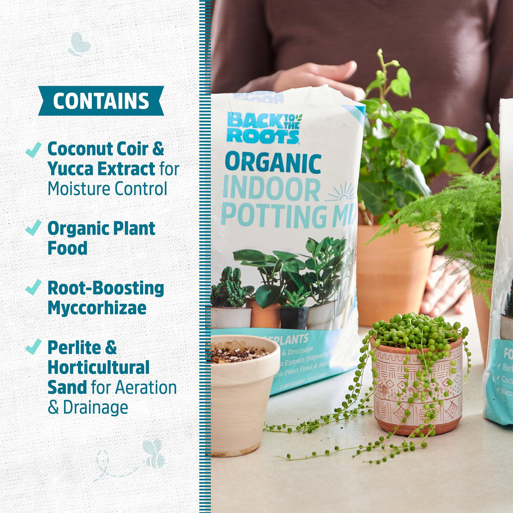 Back to the Roots diagram of roots with mycorrhizae showing improved nutrient uptake