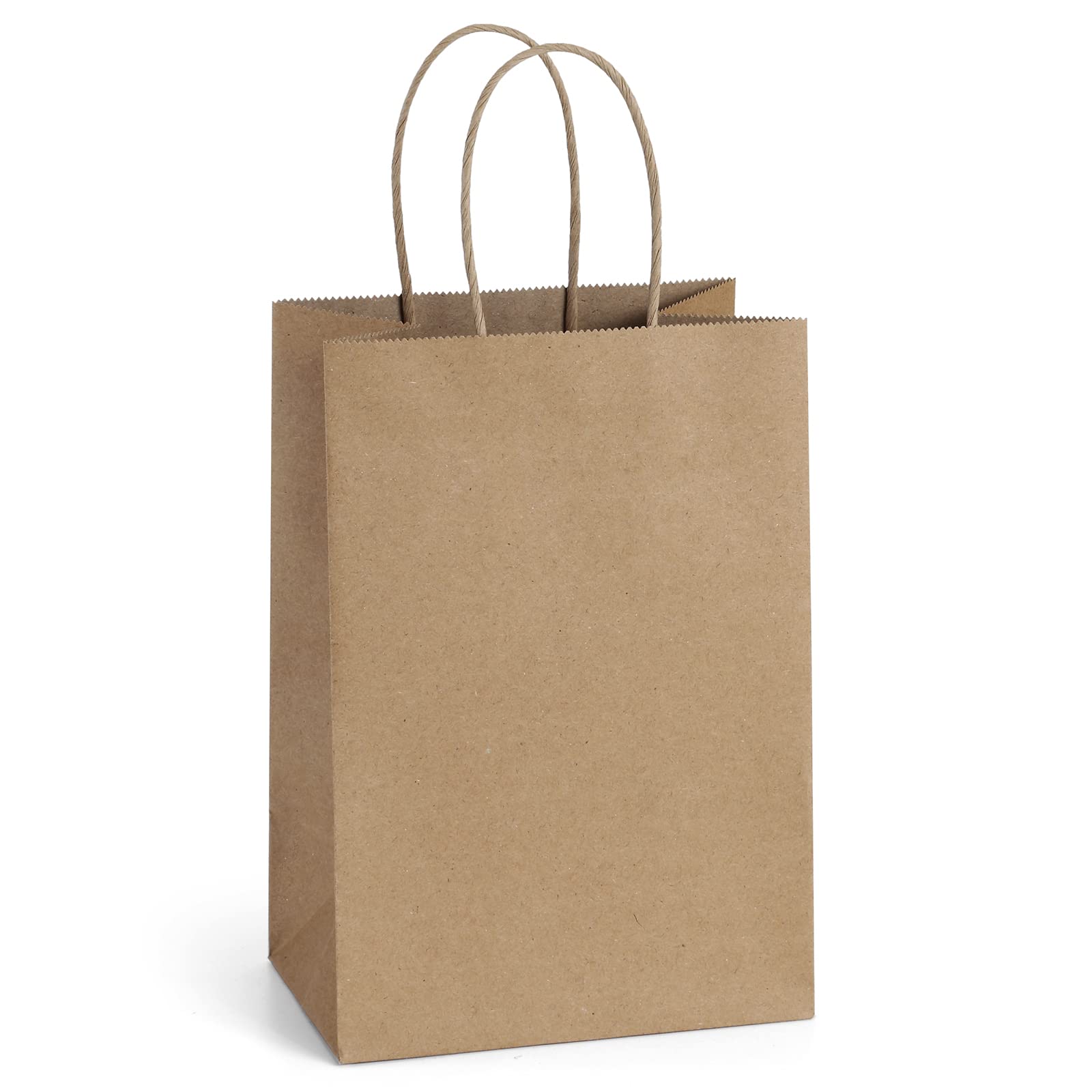 BagDream front packaging showing 100-pack small brown bags and economical bulk benefit