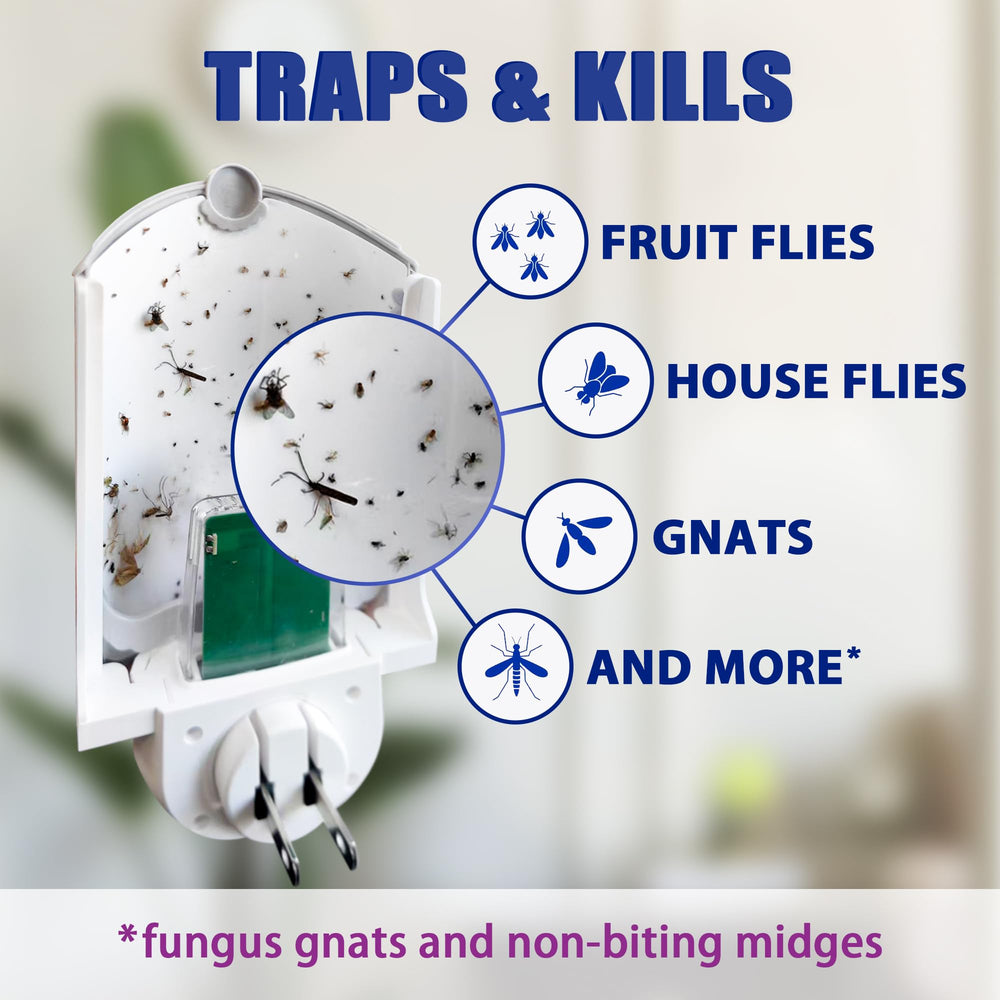 BAIMNOCM device in kitchen setting protecting food areas from fruit flies