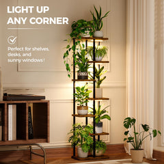 Bamworld plant stand in living room creating greenery display and cozy light