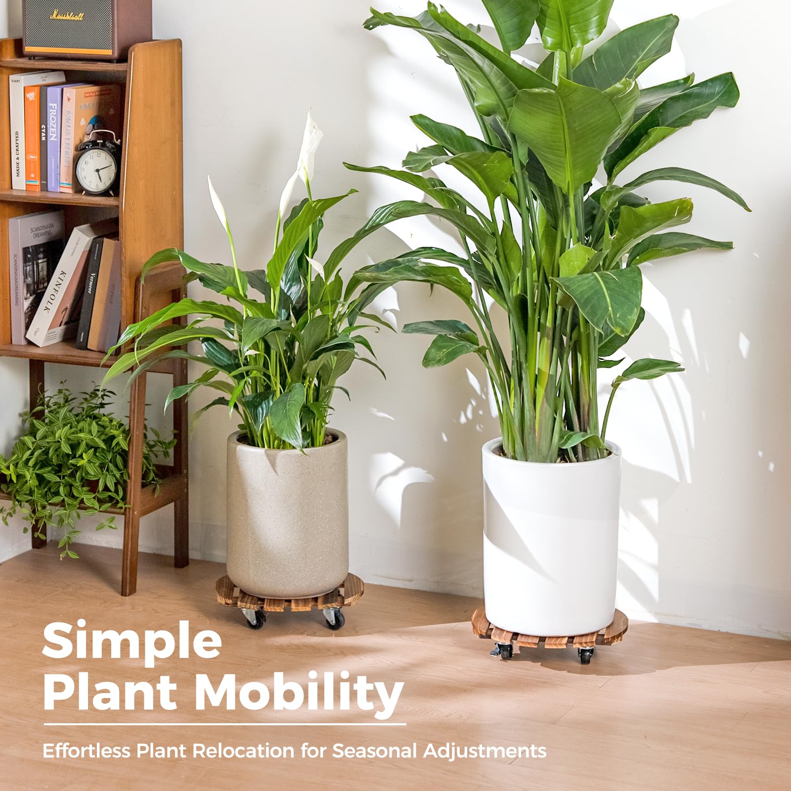 Bamworld scale comparison with ruler proving compact size and load capacity clarity