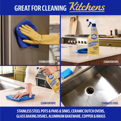 Bar Keepers Friend spray & foam nozzle detail for quick degreasing action
