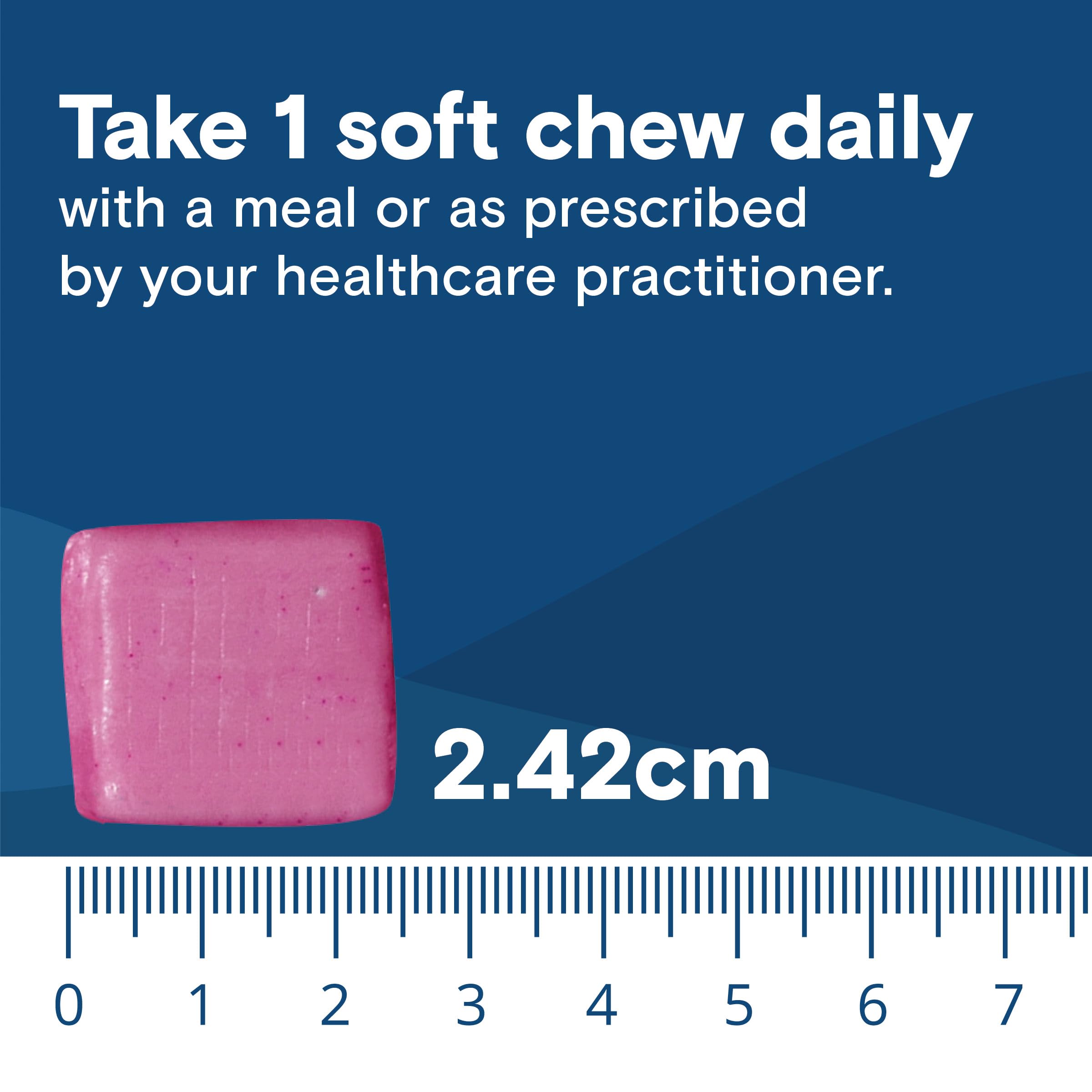 Bariatric Fusion chew in hand demonstrating single daily dosage simplicity