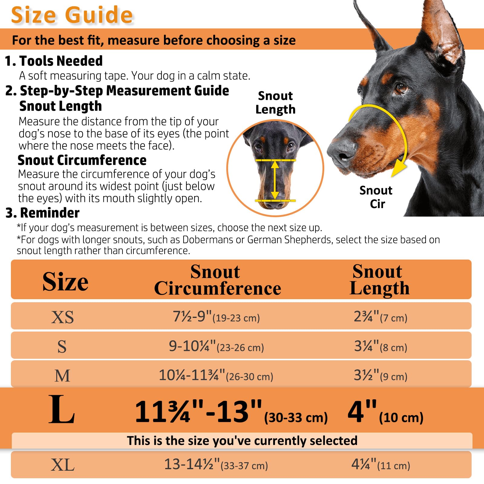 BARKLESS dog wearing muzzle in park enabling safe socialization