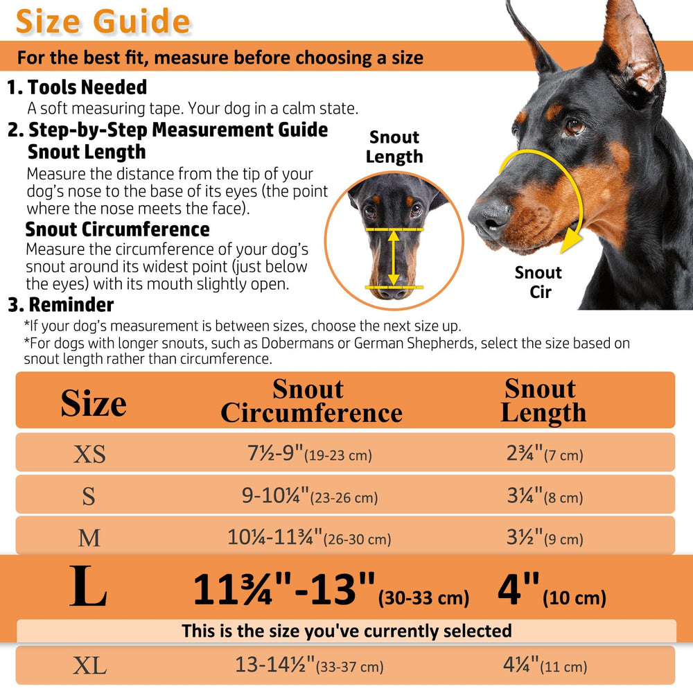 BARKLESS dog wearing muzzle in park enabling safe socialization