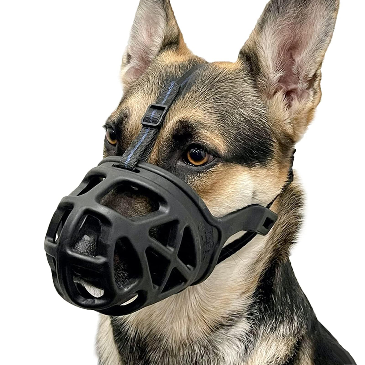 BARKLESS front view basket muzzle showing protective fit and comfort