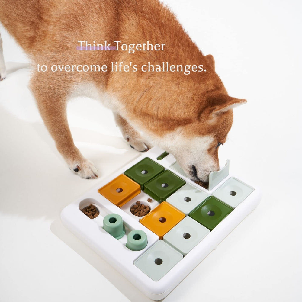 Barkwhiz size comparison with kibble and hand to demonstrate capacity and scale