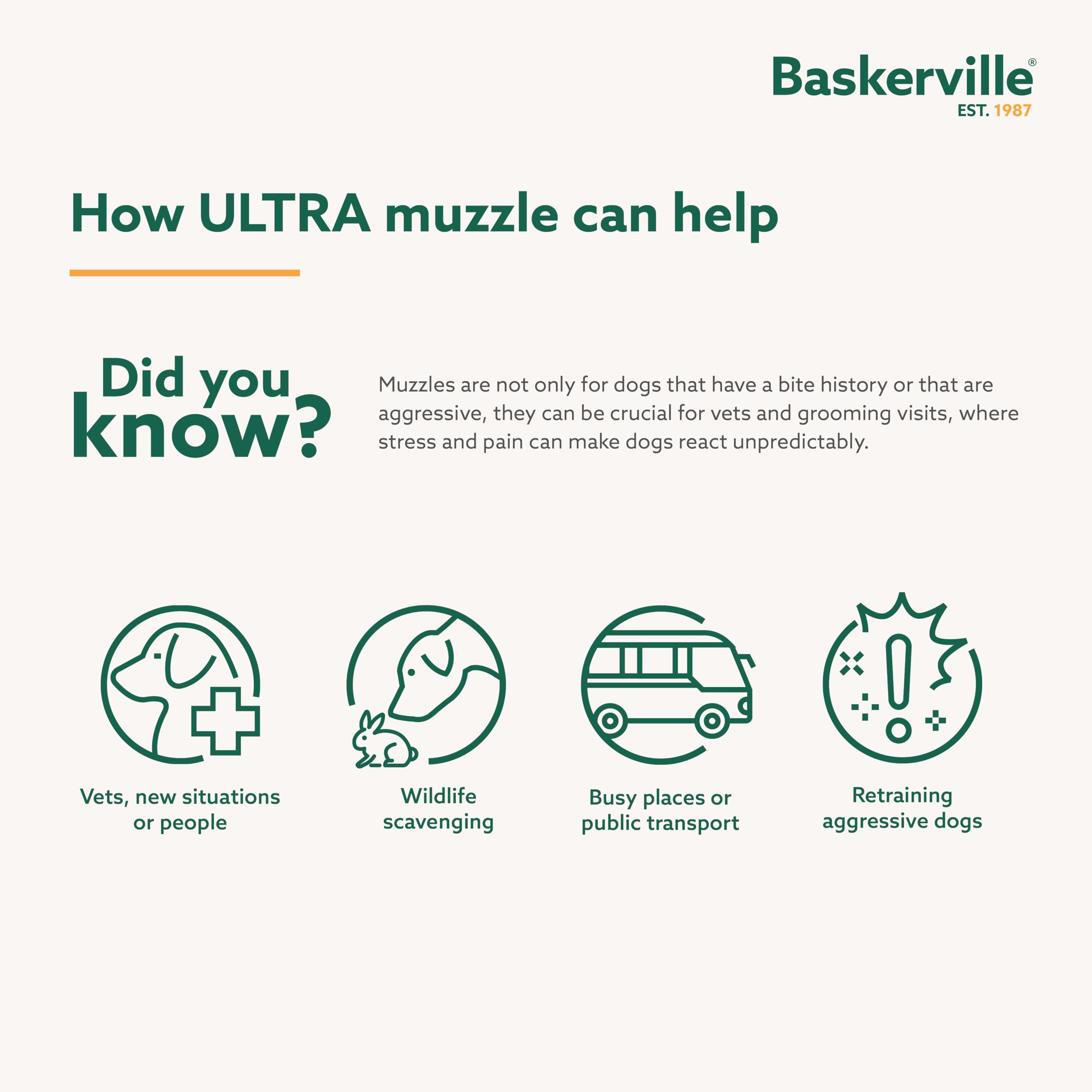 Baskerville Ultra on dog during walk demonstrating safe control